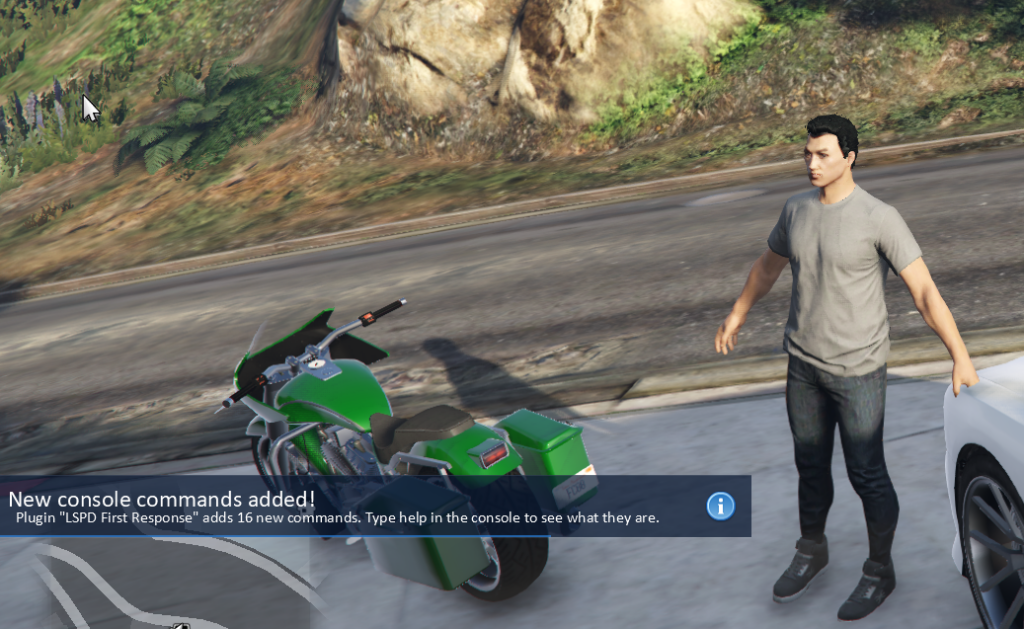 图片[4]-GTA V警察模组使用教程